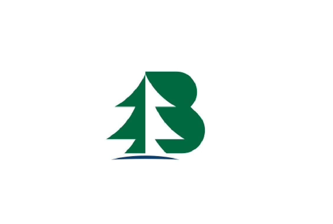 3 b logo